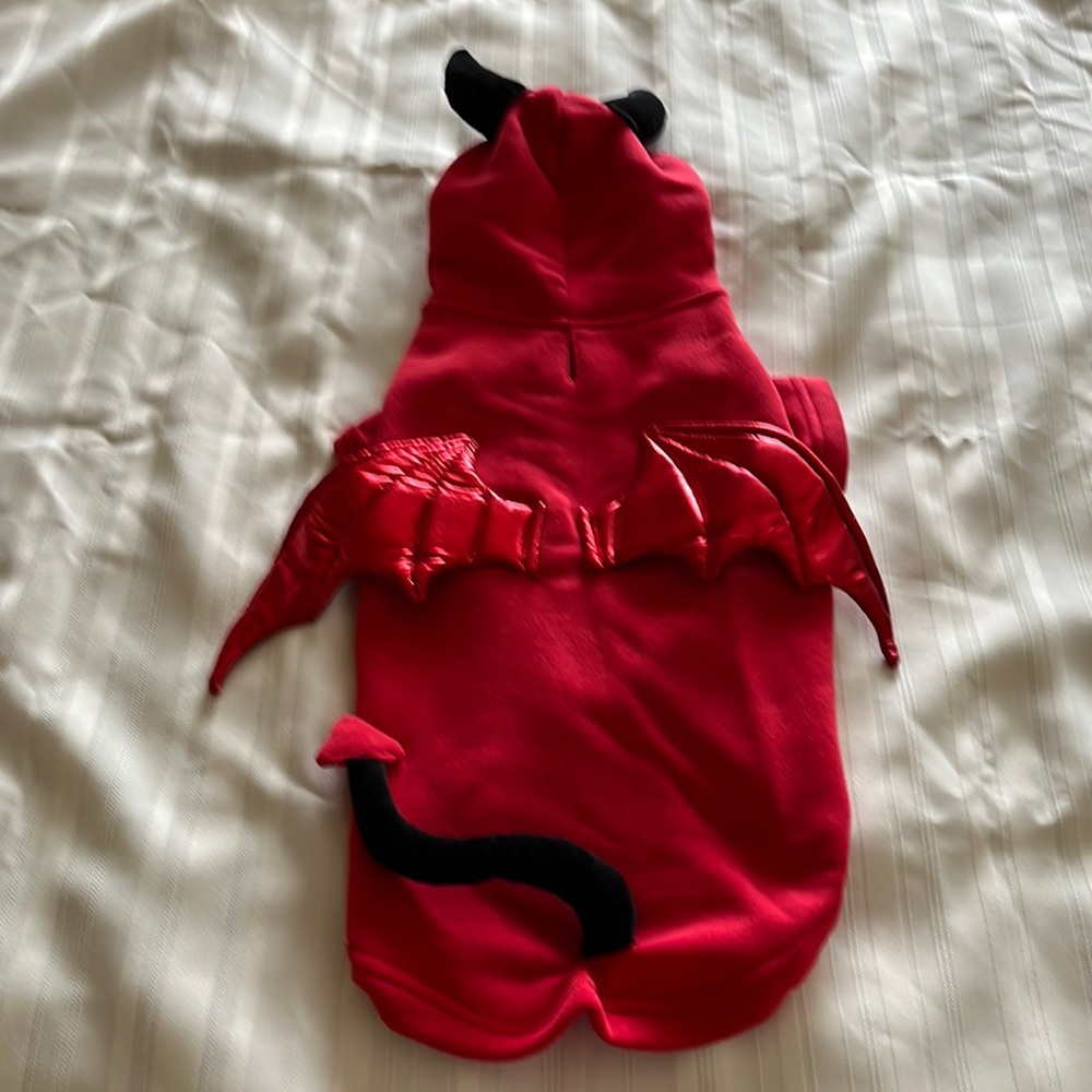 COPY - Pet Halloween hoodie